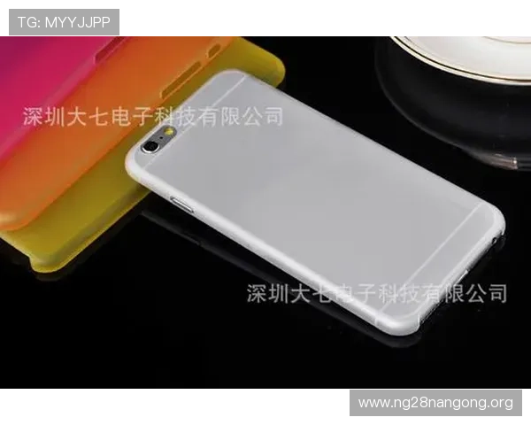 全面解析老虎机pp电子版的安全性与稳定性，保障玩家游戏体验与资金安全